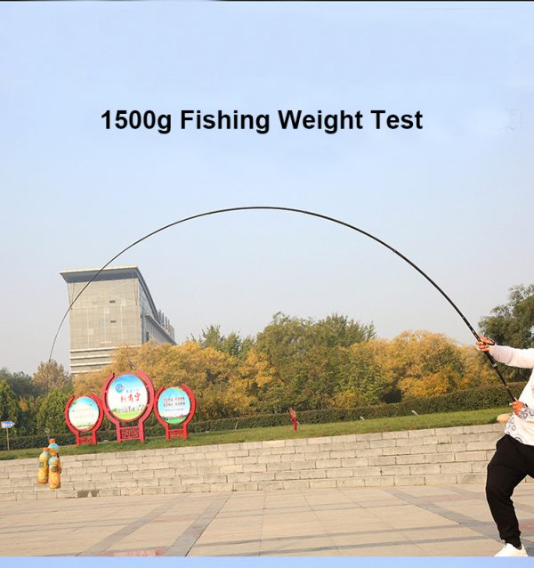 Alpha Special Carbon Short Section Rock Fishing Rod.
